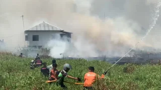 Kilas Balik Karhutla Terparah di Kalimantan, Tahun Ini Mengulang 1997, 2015, 2019?