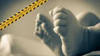 Tragedi Mayat Bayi Dibawa Anjing, Ditemukan Tanpa Tangan dan Kaki