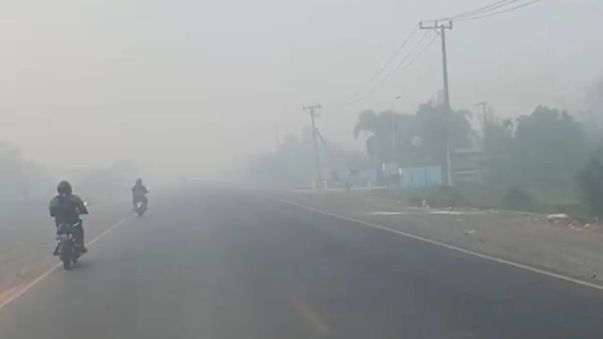 Kabut Asal Selimuti Jalan Gubernur Syarkawi Kabupaten Banjar Pagi ini