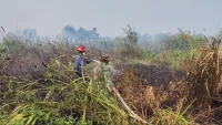 Update Karhutla Kabupaten Banjar, 1.100 Hektare Lahan Terdampak