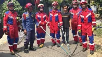 Ular Cobra Ditemukan di Gudang Rumah Warga Sekumpul, Damkar Banjar Turun Evakuasi