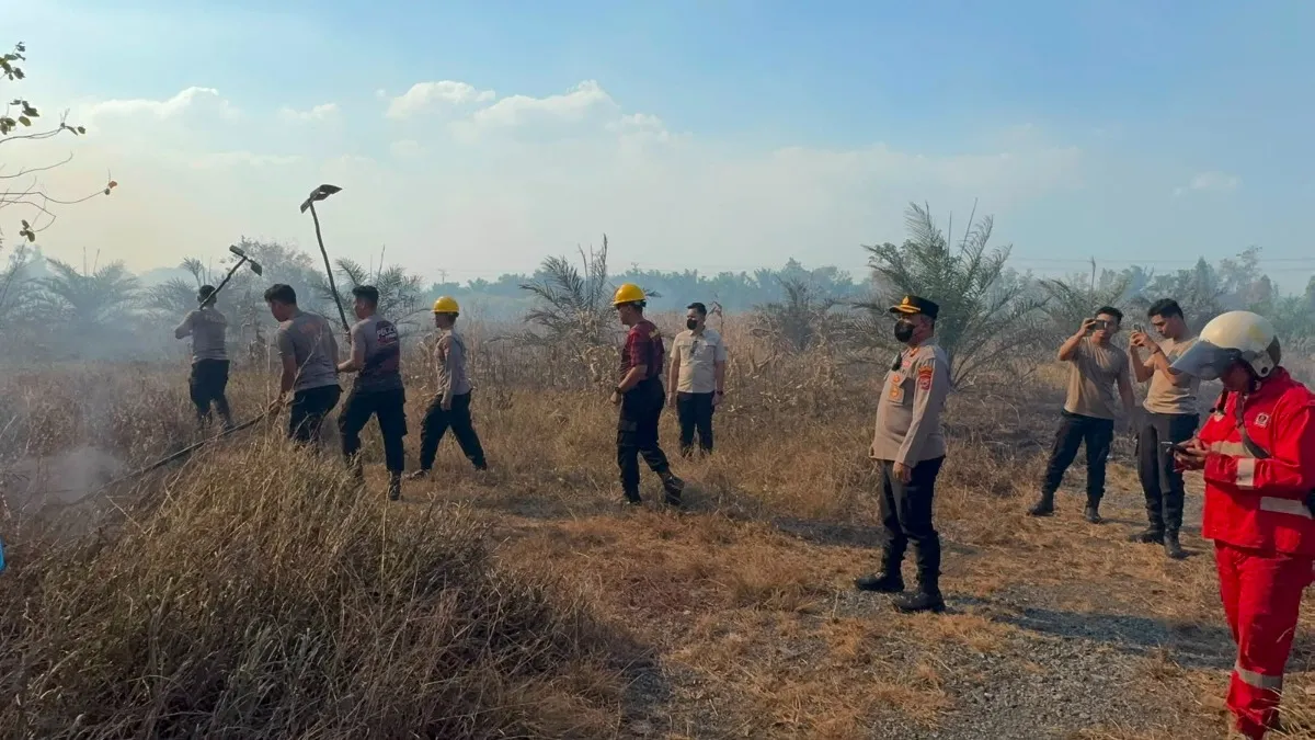 Polres Tanah Laut Perketat Patroli dan Penegakan Hukum Cegah Kebakaran Hutan di Musim Kemarau