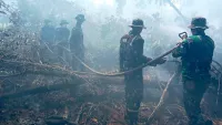 Gambut Jadi Medan Tempur, Satgas Darat Lanud Syamsudin Noor Pantang Pulang Sebelum Bara Terkendali