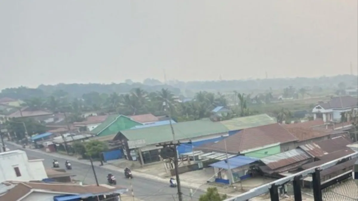Kabut Asap Perburuk Kualitas Udara Balangan, Kasus ISPA Capai 8.183