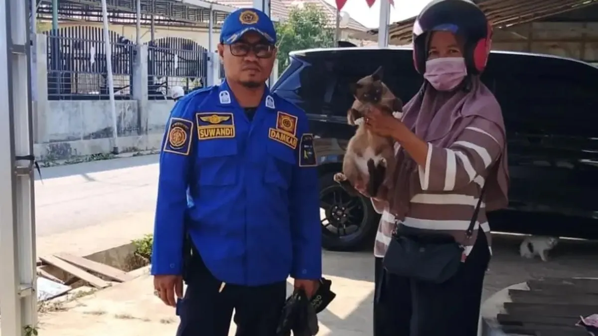 4 Hari di Atas Atap, Warga Pelaihari Tanah Laut Minta Tolong Damkar