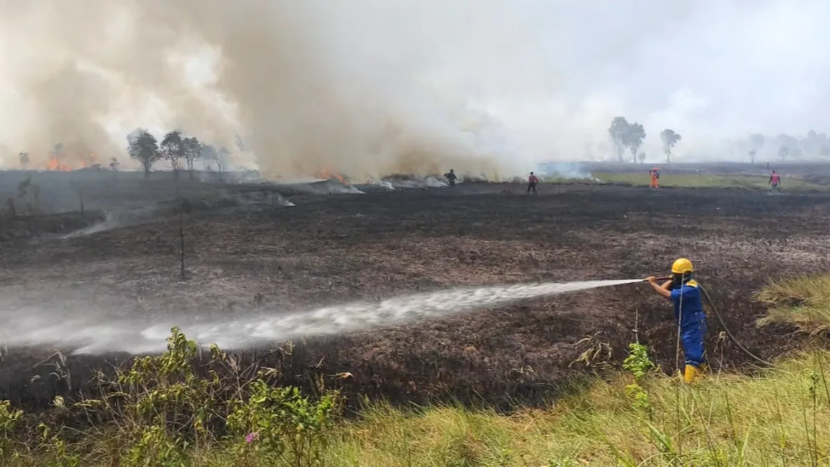 Karhutla di Kalsel, Ketua Komisi II DPR RI Minta Warga Ikut Awasi Dugaan Pembakaran