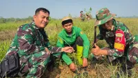 1.000 Pohon Ditanam di Kolam Regulasi Mandingin HST, Bukan Sekadar Hijaukan Kawasan