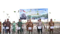 HUT ke-81 TNI, 1000 Pohon Mangrove Ditanam di Desa Muara Pagatan Tanah Bumbu