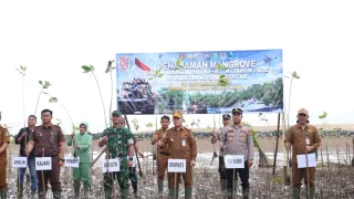 HUT ke-81 TNI, 1000 Pohon Mangrove Ditanam di Desa Muara Pagatan Tanah Bumbu