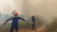 Karhutla Berulang Tiga Kali di Titik yang Sama di Jalan Golf Banjarbaru
