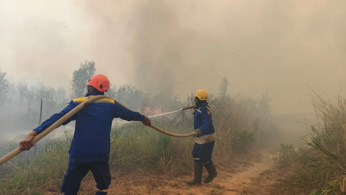 Karhutla Berulang Tiga Kali di Titik yang Sama di Jalan Golf Banjarbaru