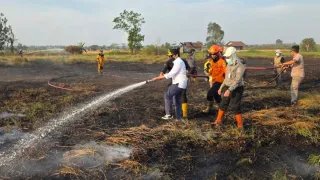 Wagub Kalsel Hasnuryadi Tinjau Lahan Kahutla dan Turun Langsung Lakukan Pemadaman