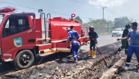 Waspada Karhutla Saat Musim Kemarau, Kebakaran Semak Belukar 3 Hektare di Bentok Kampung Berhasil Dipadamkan