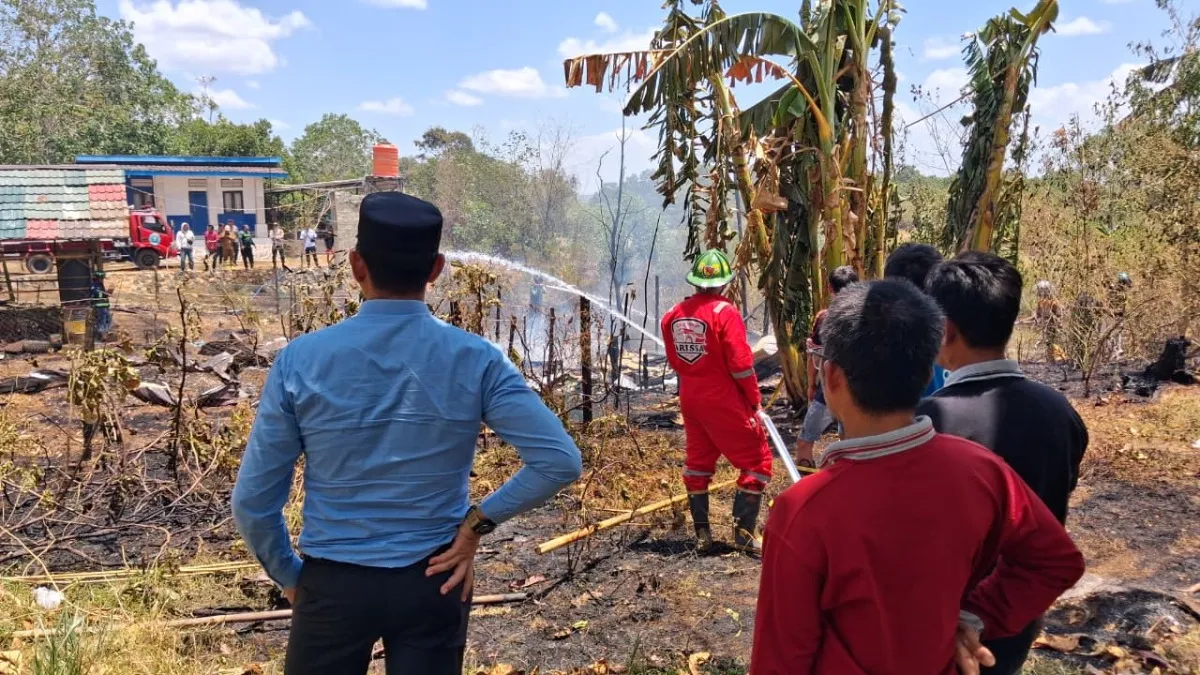Kebakaran Semak-belukar Hanguskan Bangunan Sarang Walet di Pelaihari Tanah Laut