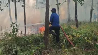 Puluhan Hektare Lahan Terbakar Dalam Sehari, Warga Diminta Hentikan Pembakaran Sampah