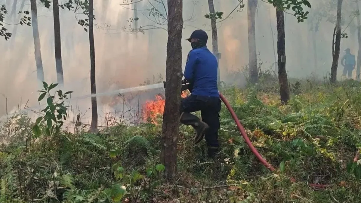 Puluhan Hektare Lahan Terbakar Dalam Sehari, Warga Diminta Hentikan Pembakaran Sampah