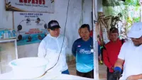 Pengelolaan Sampah Organik di Desa Atu-Atu Tanah Laut Dikembangkan Lewat Budidaya Maggot