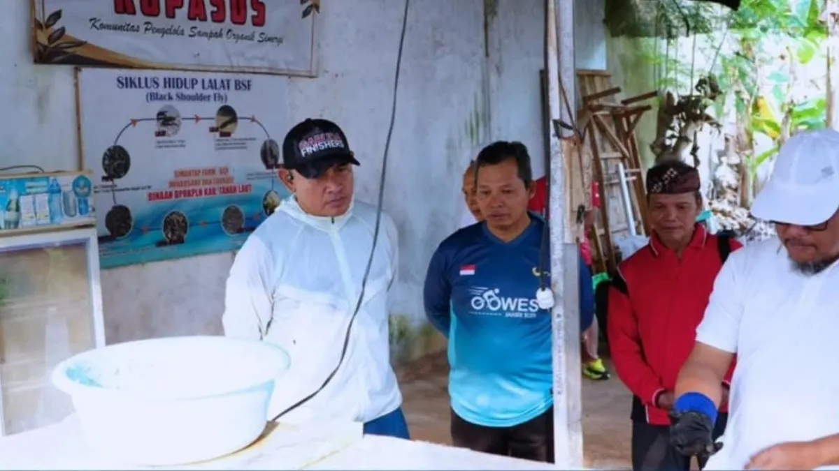 Pengelolaan Sampah Organik di Desa Atu-Atu Tanah Laut Dikembangkan Lewat Budidaya Maggot