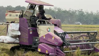 Mesin Combine Pangkas Waktu Panen Padi di Tabalong, 1 Hektare Cukup 1-2 Jam