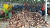 DLH Tabalong Jual Sampah Daun untuk Bahan Bakar PLTU