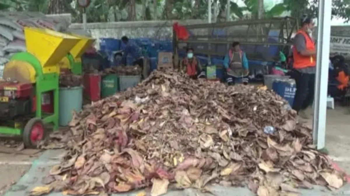 DLH Tabalong Jual Sampah Daun untuk Bahan Bakar PLTU