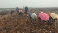 Harapkan Bantuan Pompa dari Pemerintah, Petani Kayu Rabah HST Siap Manugal Sawah 200 Hektare