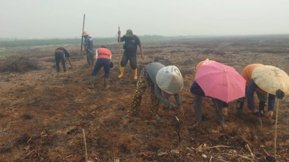 Harapkan Bantuan Pompa dari Pemerintah, Petani Kayu Rabah HST Siap Manugal Sawah 200 Hektare
