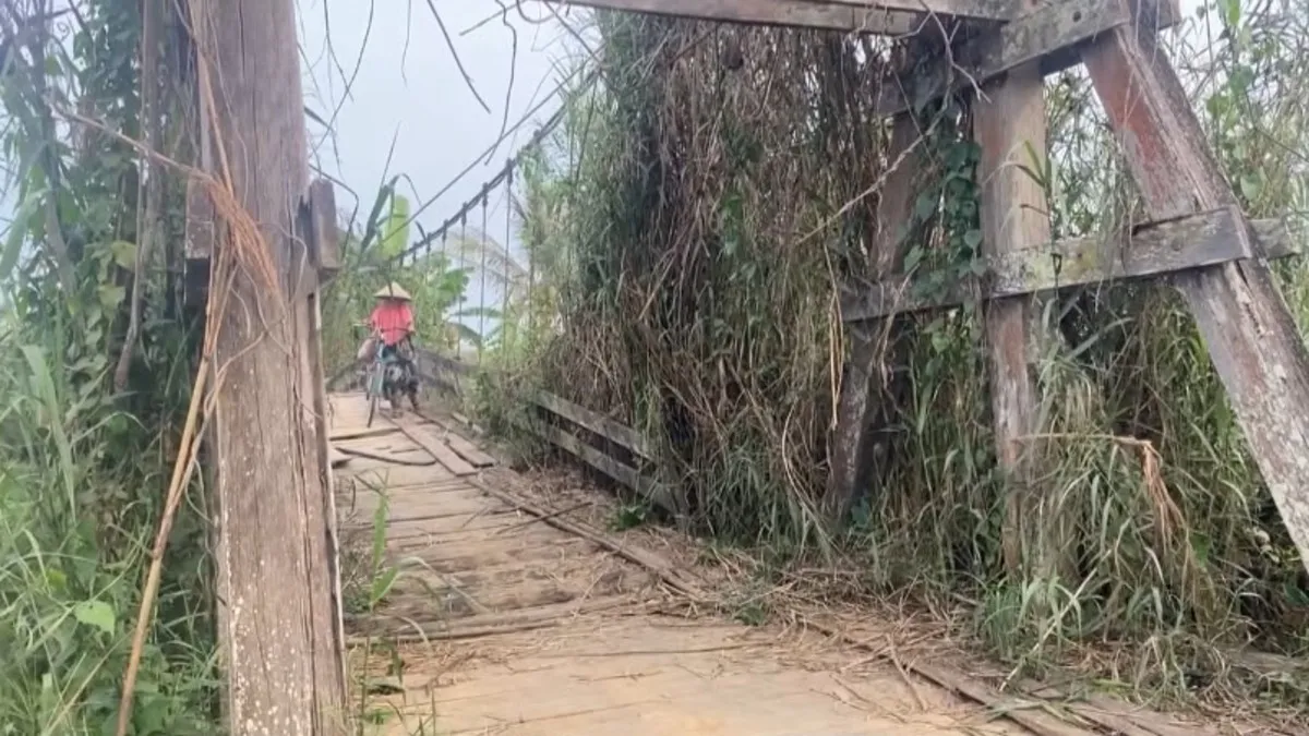 Petani Kayu Rabah HST Tidak Bisa Seberangkan Mesin Pemanen ke Sawah