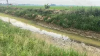 Petani Minta Pompa Air Hadapi Kekeringan, Distan HST Ajukan Bantuan ke Kementan