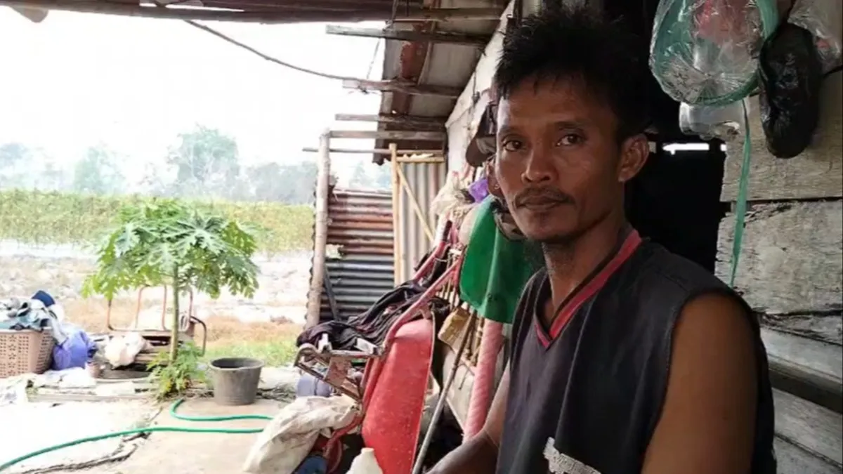 Petani Cabai Banjarbaru Andalkan Sumur Bor Saat Kemarau Panjang