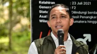 Inilah Perusahaan di Kalsel yang Dicabut Izin Usahanya Gegara Karhutla, Kalteng Ada Tiga