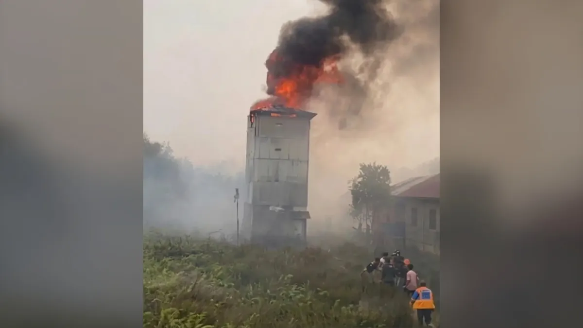 Sarang Burung Walet Terbakar di Karhutla Anjir Pal 9 Kapuas