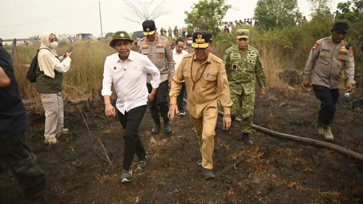 Pejabat Kalteng Sindir Kemenhut, Kenapa Kebakaran Hutan Diserahkan ke Pemprov
