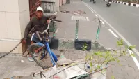 Kisah Ahmad Menjajakan Bibit Limau Kuit di Depan Masjid Raya Sabilal Muhtadin Banjarmasin