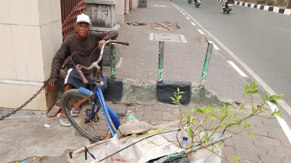 Kisah Ahmad Menjajakan Bibit Limau Kuit di Depan Masjid Raya Sabilal Muhtadin Banjarmasin