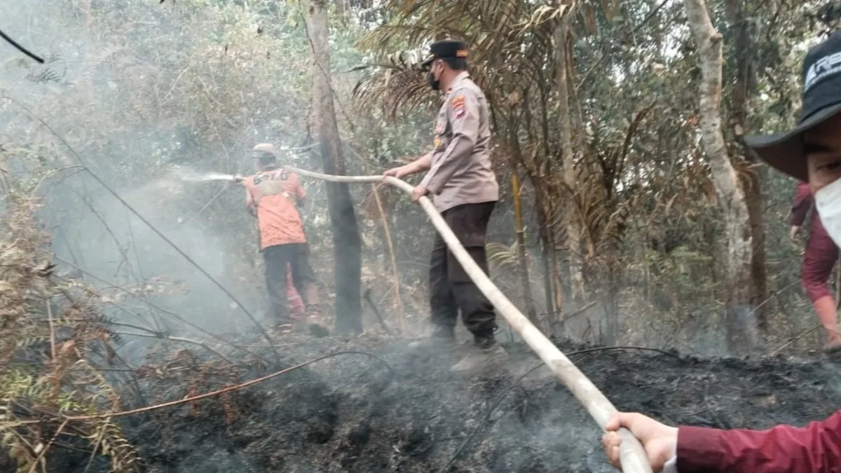 Tim Gabungan Cek dan Padamkan Karhutla di Desa Salikung Tabalong, Hotspot di Perbatasan Kalsel-Kaltim