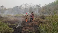 Karhutla Melanda Kasiau Tabalong, Petugas Berjibaku Padamkan Api Selama 4 Jam