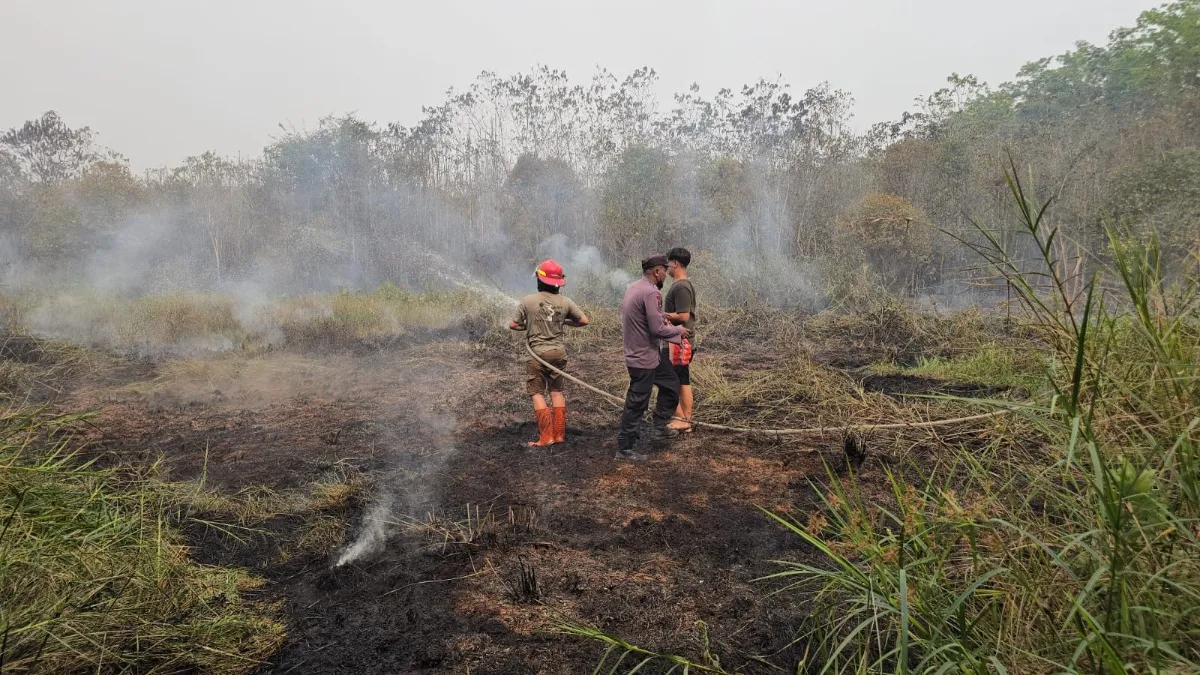 Karhutla Melanda Kasiau Tabalong, Petugas Berjibaku Padamkan Api Selama 4 Jam