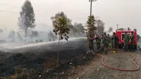 TNI Kerahkan 43 Personel Perkuat Pembasahan Karhutla di Sambang Lihum