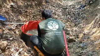 Banyak Satwa Liar Kehausan Akibat Kekeringan, BKSDA Kaltim Sediakan Kubangan Minum
