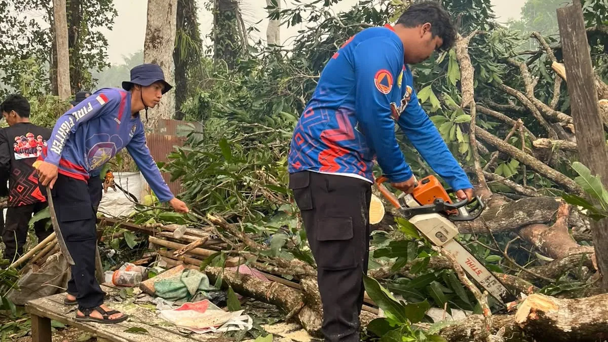 Rumah Hancur dan Pemilik Luka Berat Tertimpa Pohon, Puting Beliung Terjang Pengambau Hulu HST