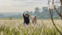Padang Ilalang di Tabalong Viral, Ratusan Warga Datang untuk Berswafoto
