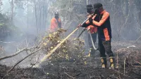 Pemko Palangka Raya Menyerah Biayai Pemadaman Karhutla, Upah Petugas Belum Dibayar