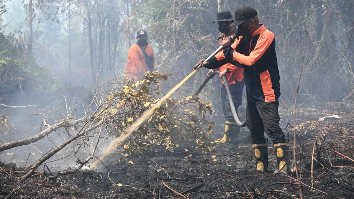 Pemko Palangka Raya Menyerah Biayai Pemadaman Karhutla, Upah Petugas Belum Dibayar