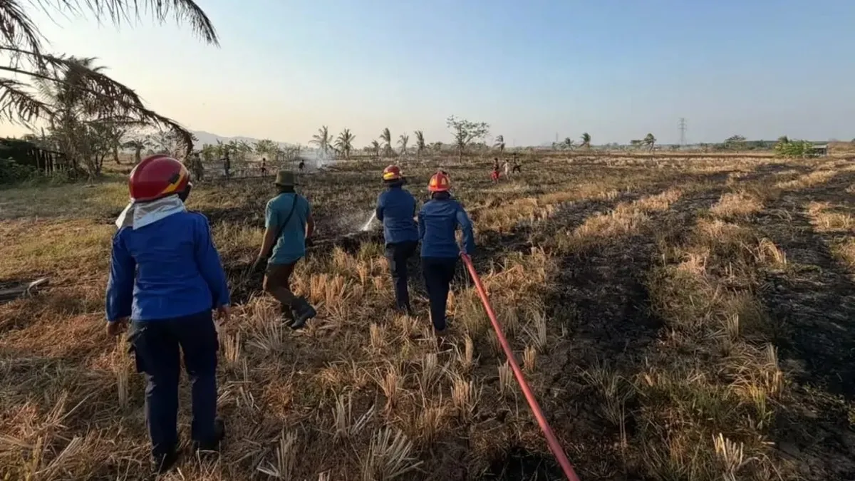 Karhutla Tanah Laut Capai 2.000 Hektare, Srikandi Damkar Turut Lakukan Pemadaman di Pelaihari