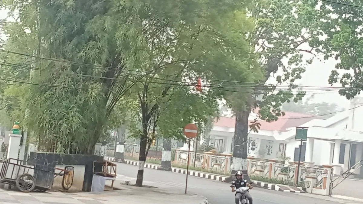 Kabut Asap Kembali Selimuti Barabai HST, Jarak Pandang Masih Aman