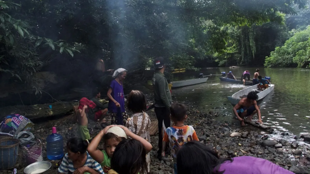 Pemerintah Pusat Izinkan Perusahaan Sawit Rambah Hutan Adat, Warga Dayak Kaltara Menolak