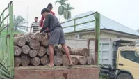 Kejari Kotim Tahan Tersangka Penebangan Hutan Seranau, "Pemodal Jangan Merasa Aman"