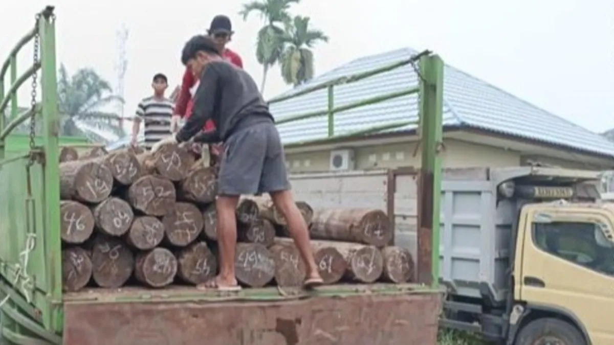 Kejari Kotim Tahan Tersangka Penebangan Hutan Seranau, "Pemodal Jangan Merasa Aman"