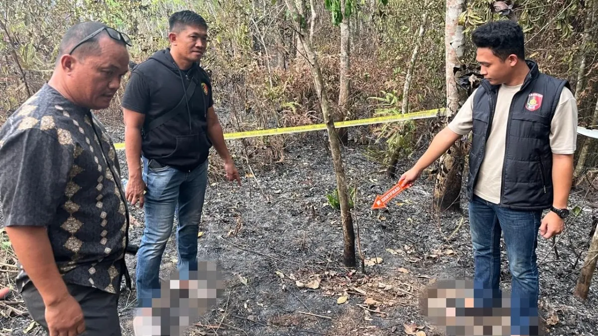 Petani HST Ditemukan Meninggal di Lahan Terbakar, Tangan Masih Memegang Alat Memadamkan Api